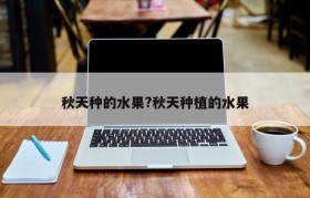秋天种的水果?秋天种植的水果